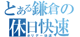 とある鎌倉の休日快速（ホリデー快速）