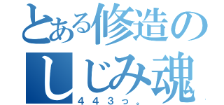 とある修造のしじみ魂（４４３っ。）