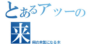 とあるアッーの来（何の木気になる木）