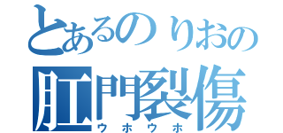 とあるのりおの肛門裂傷（ウホウホ）