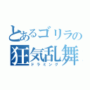 とあるゴリラの狂気乱舞（ドラミング）