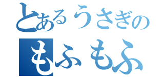 とあるうさぎのもふもふ観察（）