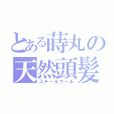 とある蒔丸の天然頭髪（スチールウール）