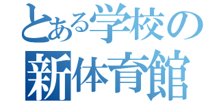 とある学校の新体育館（）