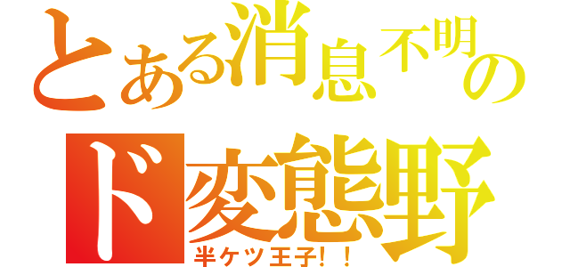 とある消息不明のド変態野郎（半ケツ王子！！）