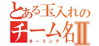 とある玉入れのチーム名Ⅱ（ネーミング）