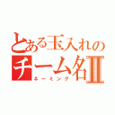 とある玉入れのチーム名Ⅱ（ネーミング）