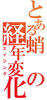 とある蛸の経年変化（エイジング）