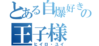 とある自爆好きの王子様（ヒイロ・ユイ）