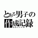 とある男子の作成記録（ＳＤファイル）