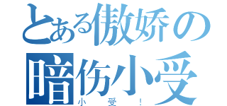 とある傲娇の暗伤小受（小受！）