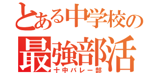 とある中学校の最強部活（十中バレー部）