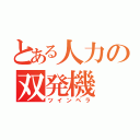 とある人力の双発機（ツインペラ）