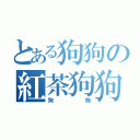 とある狗狗の紅茶狗狗（狗狗）