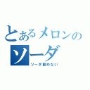 とあるメロンのソーダ（ソーダ飲めない）