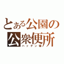 とある公園の公衆便所（ハッテン場）