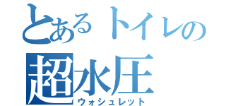 とあるトイレの超水圧（ウォシュレット）