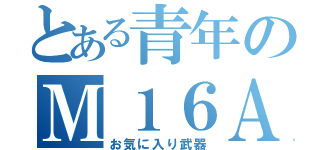 とある青年のＭ１６Ａ１（お気に入り武器）