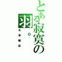 とある寂寞の羽。（光暈戰記）