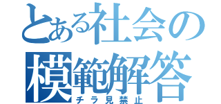 とある社会の模範解答（チラ見禁止）