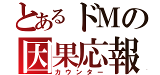 とあるドＭの因果応報（カウンター）