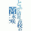 とある清澄高校の宮永咲（嶺上使い）