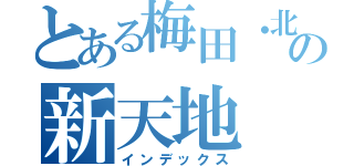 とある梅田・北新地の新天地（インデックス）