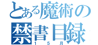 とある魔術の禁書目録（１５月）