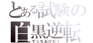 とある試験の白黒逆転（でっちあげだ！）