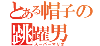 とある帽子の跳躍男（スーパーマリオ）