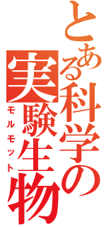 とある科学の実験生物（モルモット）