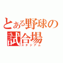 とある野球の試合場（スタジアム）