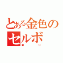 とある金色のセルボ（乗り）