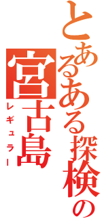 とあるある探検隊の宮古島（レギュラー）