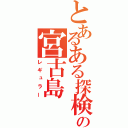 とあるある探検隊の宮古島（レギュラー）