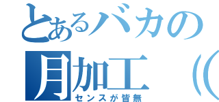 とあるバカの月加工（笑）（センスが皆無）