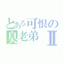 とある可恨の臭老弟Ⅱ（☆）