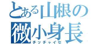 とある山根の微小身長（チッチャイセ）