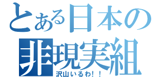 とある日本の非現実組（沢山いるわ！！）