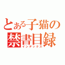 とある子猫の禁書目録（インデックス）