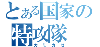 とある国家の特攻隊（カミカゼ）