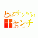 とあるサンちゃんの十センチ（パラリラパッパ）