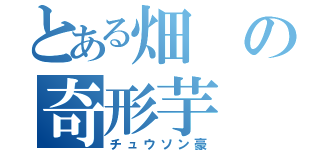 とある畑の奇形芋（チュウソン豪）