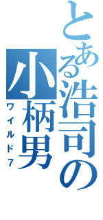 とある浩司の小柄男（ワイルド７）