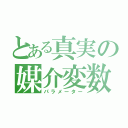 とある真実の媒介変数（パラメーター）