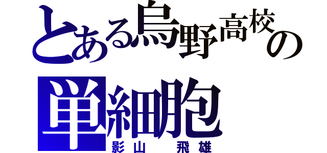 とある烏野高校の単細胞（影山 飛雄）