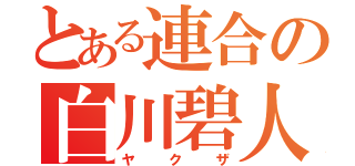 とある連合の白川碧人（ヤクザ）