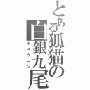 とある狐猫の白銀九尾（キュウコン）