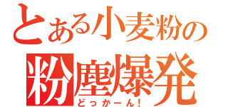 とある小麦粉の粉塵爆発（どっかーん！）