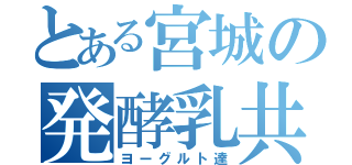 とある宮城の発酵乳共（ヨーグルト達）